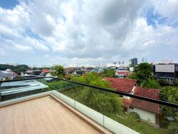 Braddell Heights Estate (D13), Detached #591118931